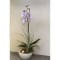 Angelic Orchid Plant | Glass Pot